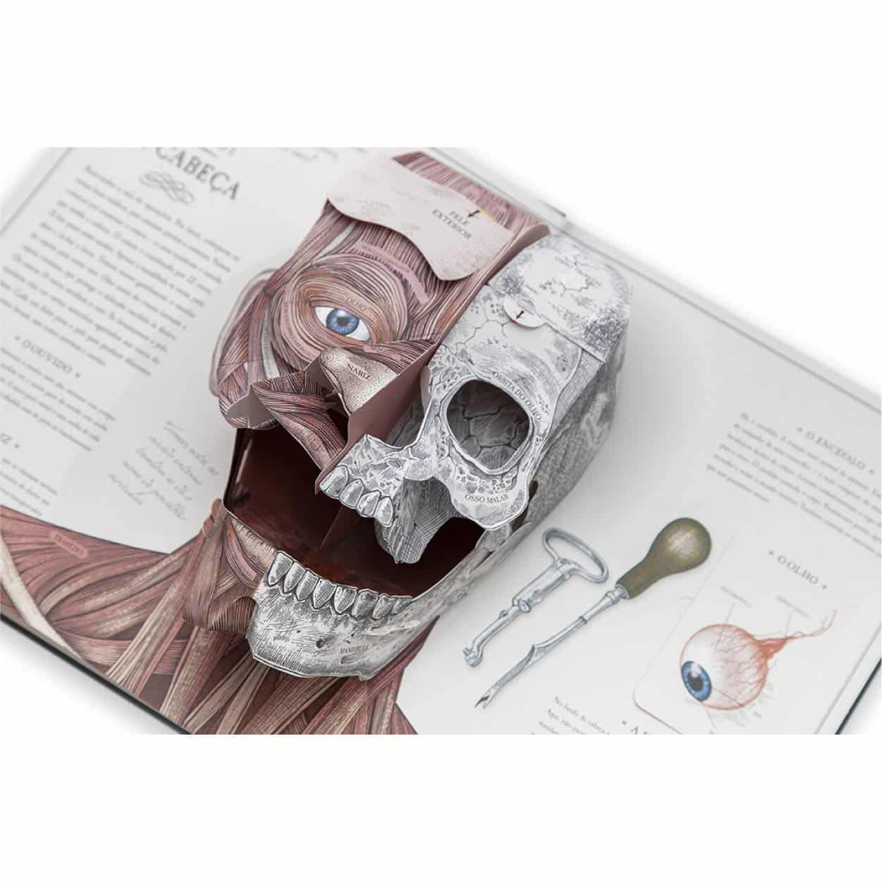 Jogo Didatico Anatomia Com Ossos Para Montar E Com Boneco