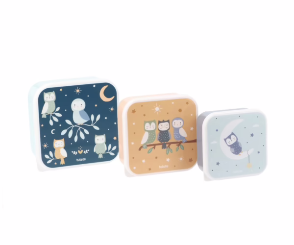 Conjunto 3 Caixas Lancheira | Magical Forest - Image 1